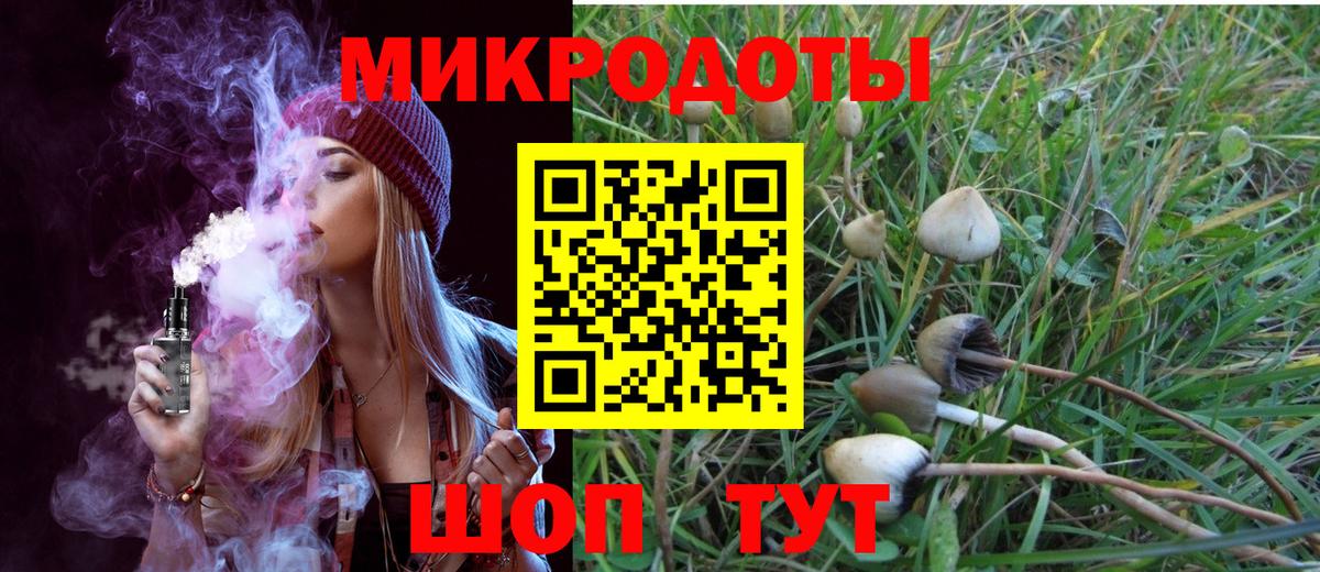 Псилоцибиновые грибы MAGIC MUSHROOMS Дубна
